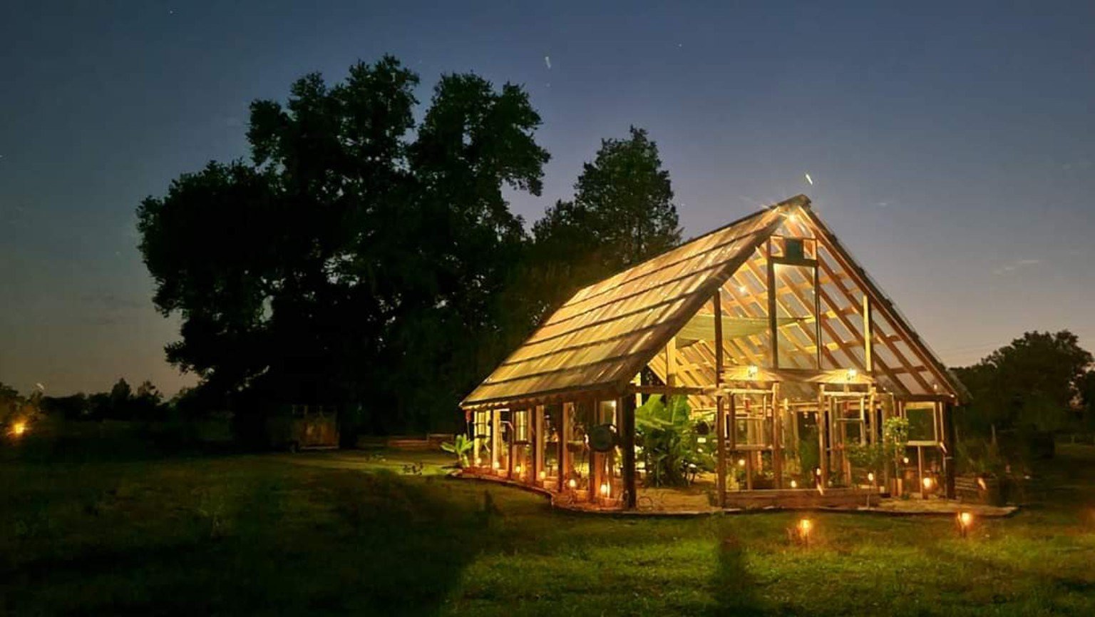 The greenhouse glowing at dusk with the old oak behind it