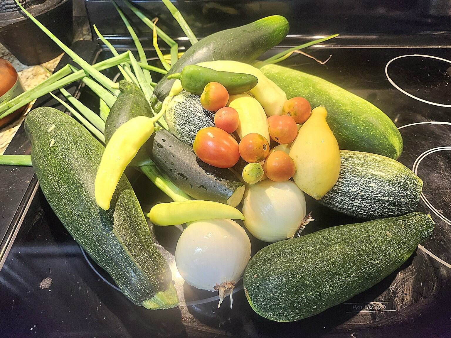 A harvest of squash, zucchini and tomatoes
