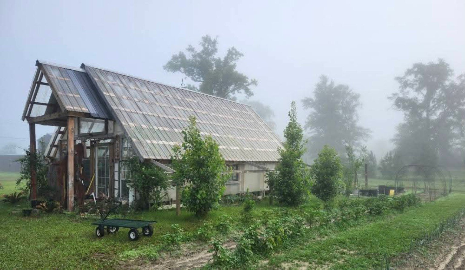 The greenhouse in soft morning mist